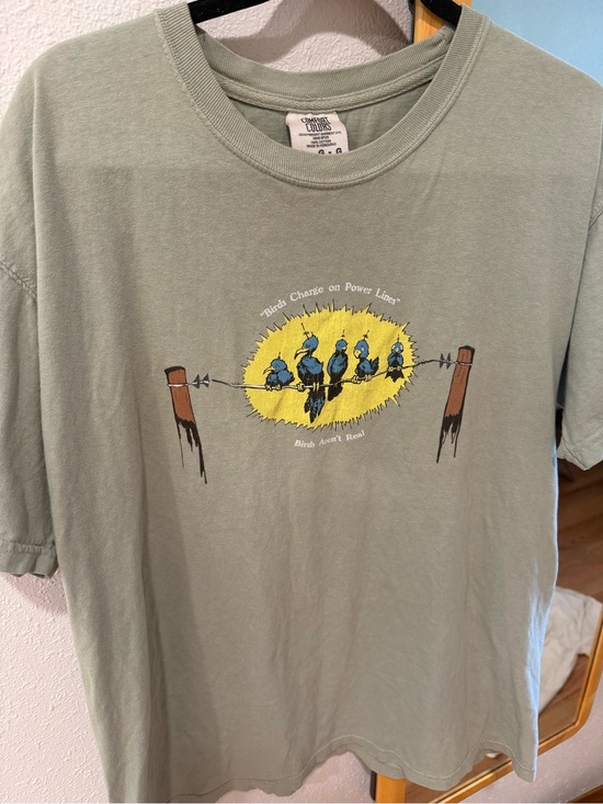 Comfort Colors Other - 100% cotton birds aren’t real “birds charge on power lines” graphic tshirt